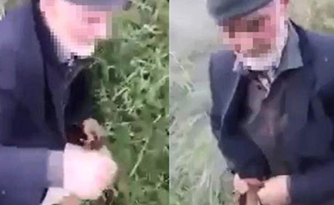 Köpeğe tecavüz ederken suç üstü yakalanan sapık hakkında flaş gelişme!