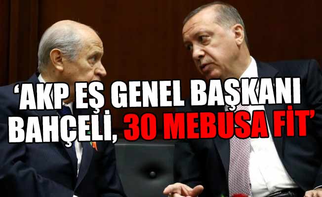 'Gül Dalı Harekâtı'nın ikinci aşaması da tamam'