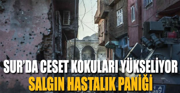 Sur'da terörden sonra hastalık korkusu