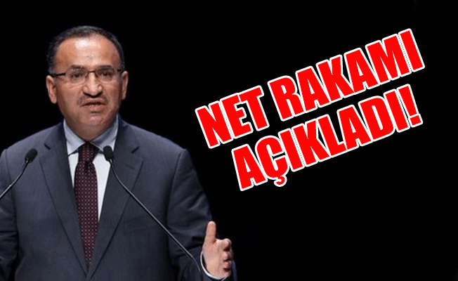 Son dakika: Başbakan Yardımcısı Bozdağ, KHK'lar ile ihraç edilen kişi sayısını açıkladı!
