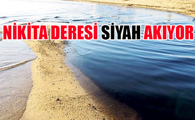 Sarımsaklı sahili karardı: Fabrikalarda inceleme başlatıldı!