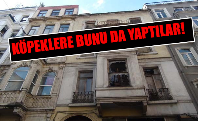 Serumla güçlendiriyorlar... Dövüştürüyorlar