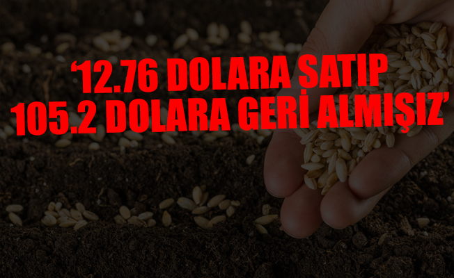 Tohumda büyük skandal!