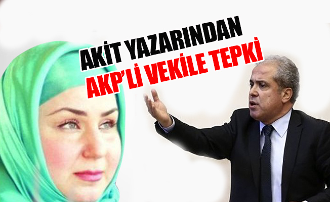 Akit yazarından AKP'li vekile: İt