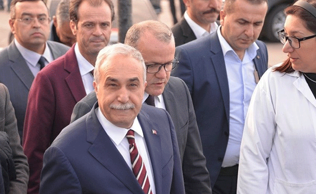 Bakan Fakıbaba: Çin'e kiraz ihracatı konusunda iyi gelişmeler var