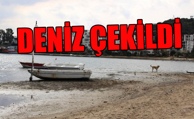 Bodrum'da korkutan görüntü