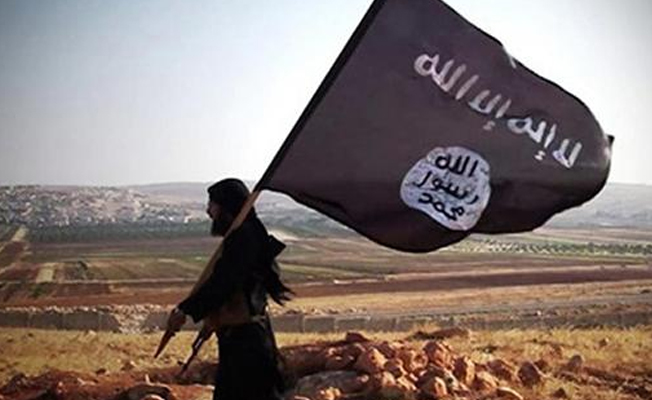 IŞİD'in medya sorumlusu Kocaeeli'nde kıskıvrak yakalandı