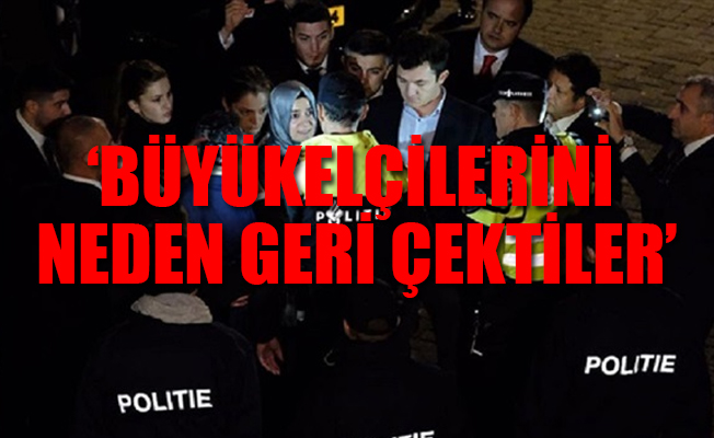 Türkiye-Hollanda krizinin perde arkası