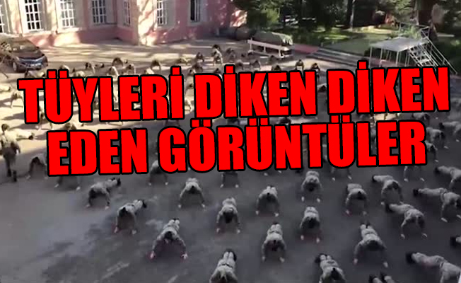 TSK'nın kadın subayları: Bedenimiz burada ruhumuz Afrin'de