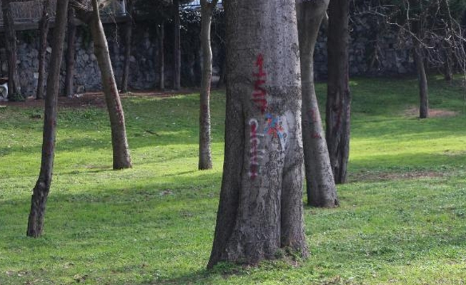 Maçka Parkı'nda neler oluyor? Ağaçlar işaretleniyor...