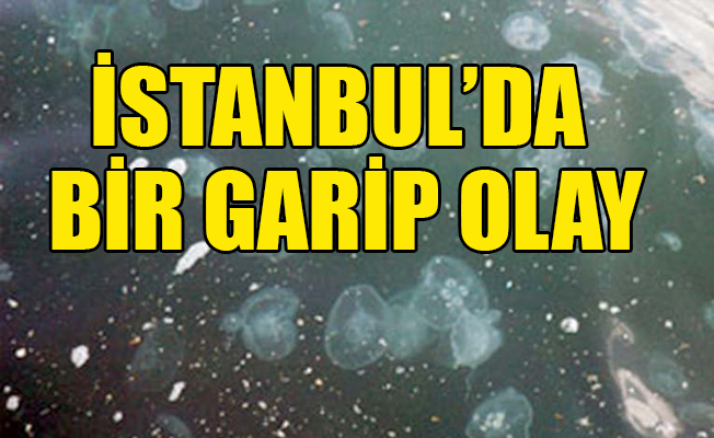 Her yaz oluyordu ancak...