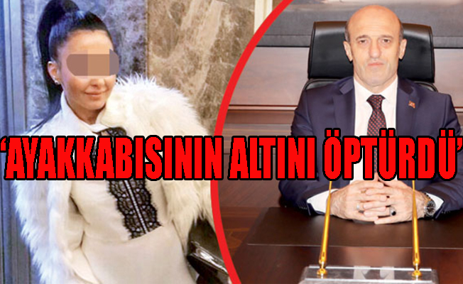 Vali Beyin Orman soruşturması