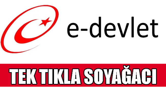 E-devlet uygulamayı bugün başlattı... Sistem kitlendi