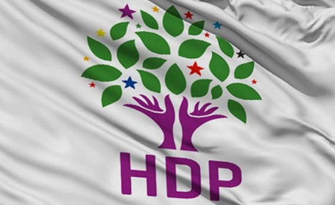 HDP'de eş genel başkan adalığı için yarışacak iki isim...