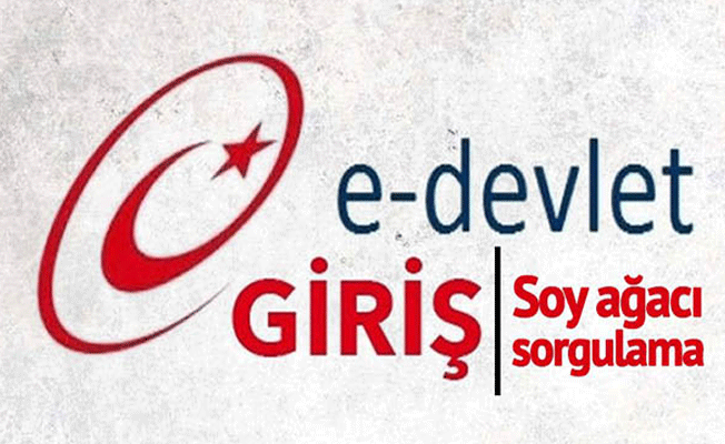 Soyağacı sorgulama sisteminin ne zaman açılacağı belli oldu!