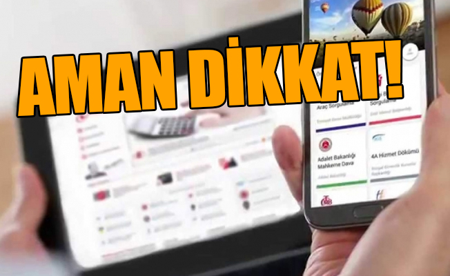 e-devlet'te soyağacı sorgularken bu hatayı yapmayın!