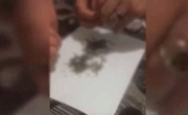 Facebook'tan canlı yayın yaptılar... Gözaltına alındılar