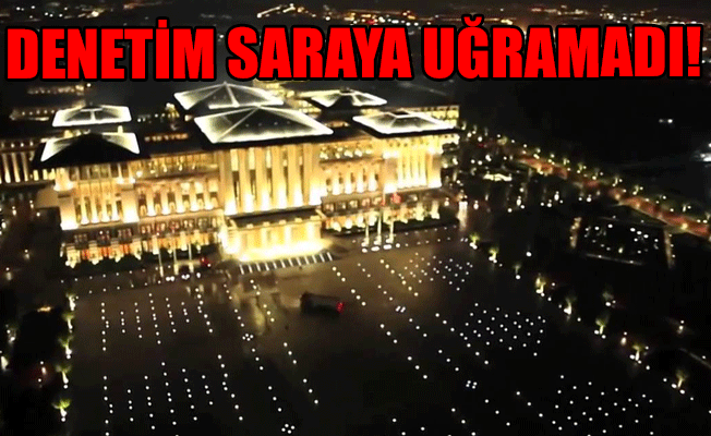 Kamu ithalatına frenleme geldi... Fakat 'Saray'a yasak yok