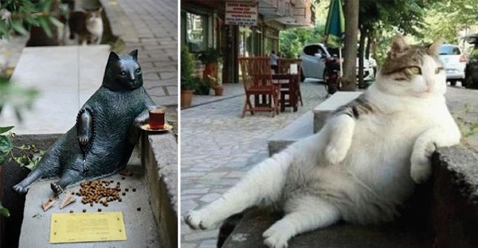 Kadıköy'ün bıçkın kedisi Tombili'nin heykeli açıldı