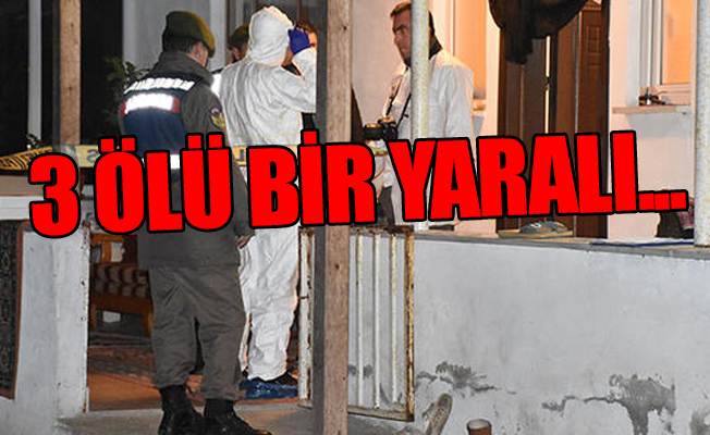 Sakarya'da gece yarısı katliam...