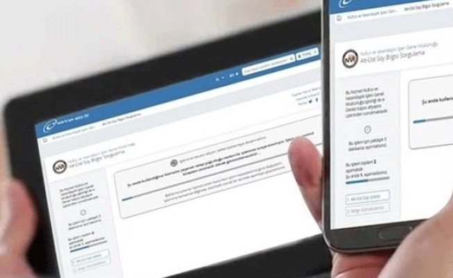 Bir haftada kaç soyağacı sorgulaması yapıldı?