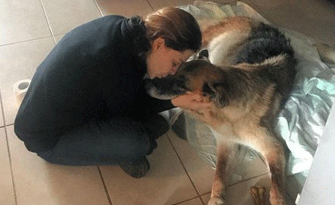 Ünlü oyuncu, ölen köpeği için helva kavurdu