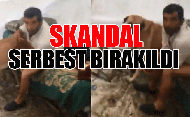 Kan donduran olay: Köpeğe tecavüz ederken yakalandı