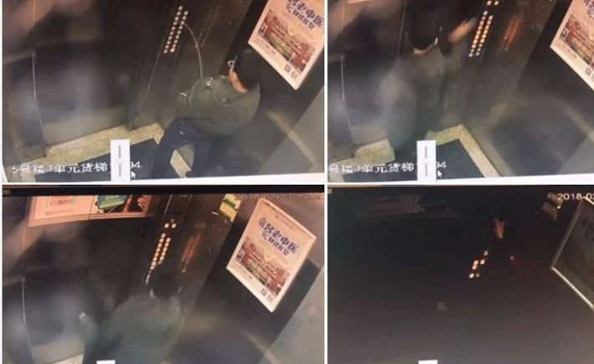 Asansörün her yerine idrarını yaptı... Başına gelmeyen kalmadı