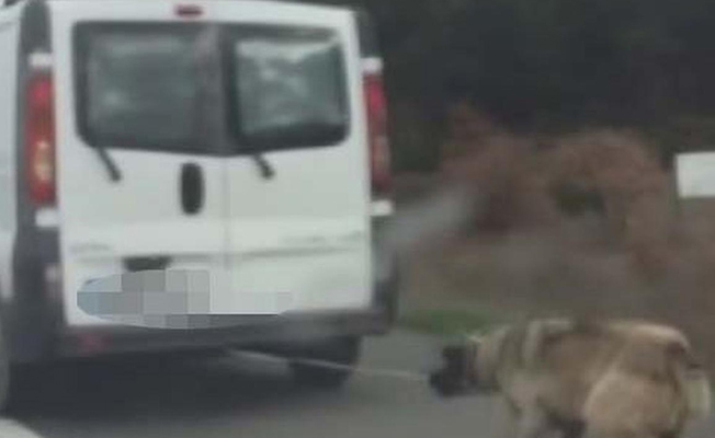 Köpeği iple arabasına bağladı, metrelerce sürükledi... İşte cezası!