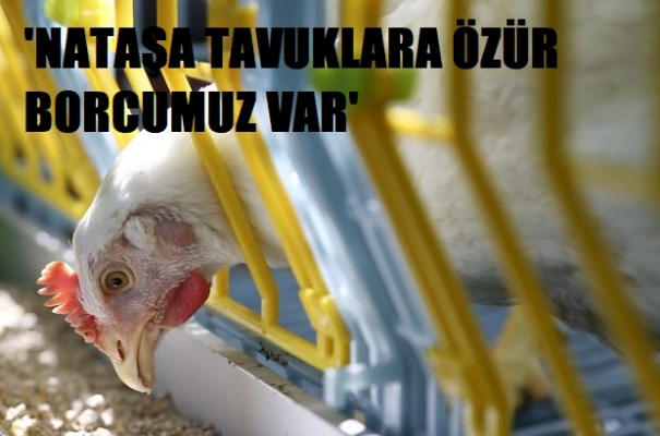 YURT yazarı İsmet Orhan yazdı: ‘O…u tavuklar!!!’