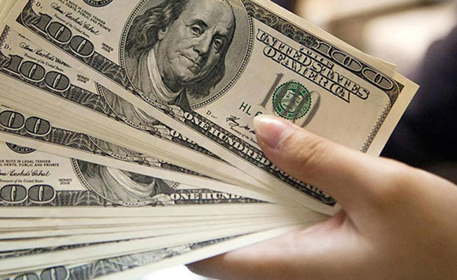 Dolar iki haftanın zirvesini gördü.