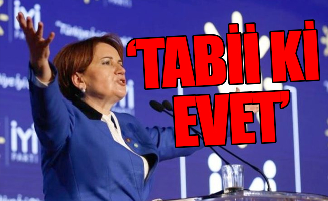 Meral Akşener'den 2 parti için 'ittifak'a 'yeşil ışık'