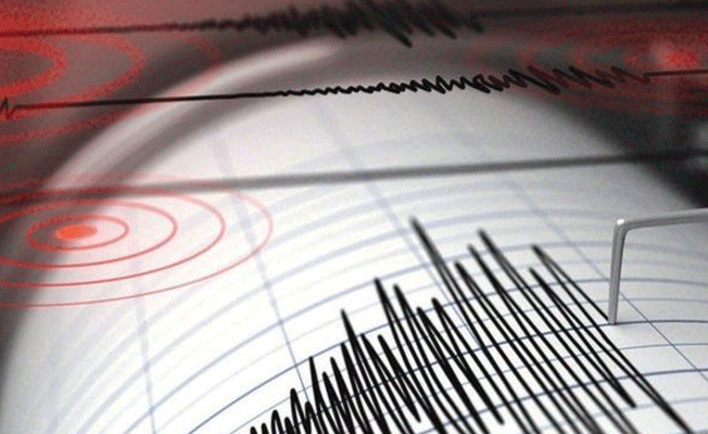 Van'da korkutan deprem