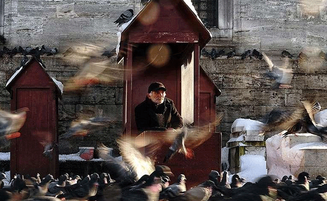 'İstanbul 365 Gün' sergisi açılıyor