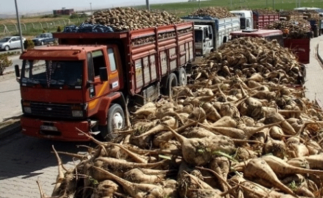 CHP'den satışa çıkarılan şeker fabrikaları için imza kampanyası