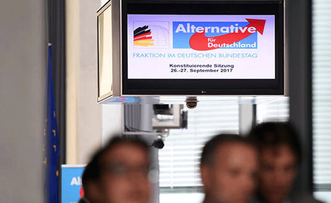 AfD’li politikacı Anayasa Mahkemesine hakaret etti
