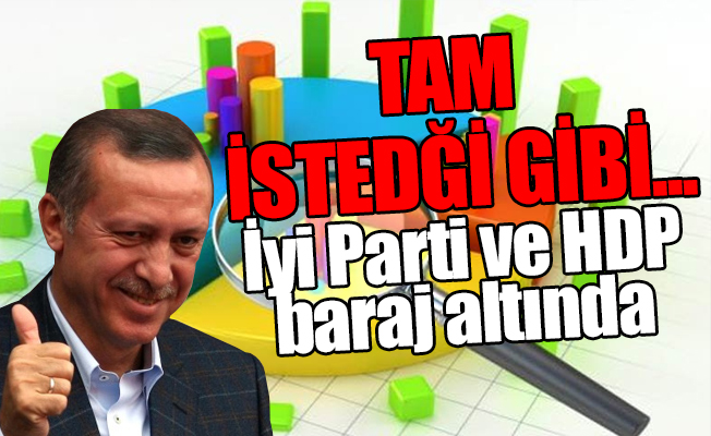 Erdoğan'ın hoşuna gidecek seçim anketi