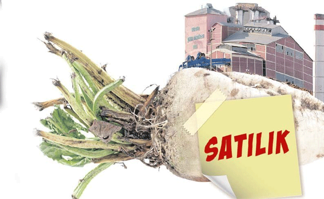 Saraydan şeker fabrikaları için iptal sinyali
