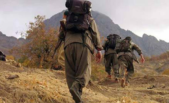 PKK'nın 30 yıllık hayali suya düştü