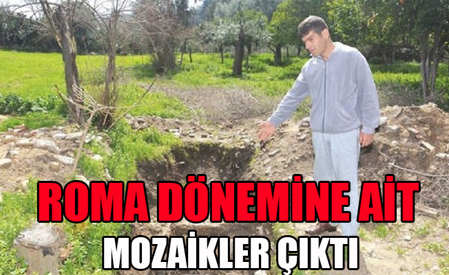 Adana'da tuvalet çukurundan mozaik çıktı