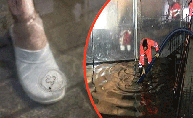 Tarihi camide tahliye çalışması başlatıldı