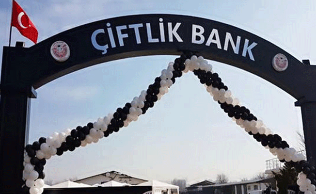 Bakan'dan canlı yayında Çiftlikbank açıklaması!