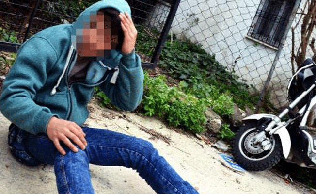 Bodrum’da köpeğe tecavüz iddiası ortalığı karıştırdı
