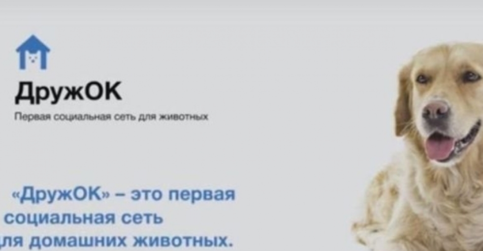 Köpekler için 'Facebook' geliyor
