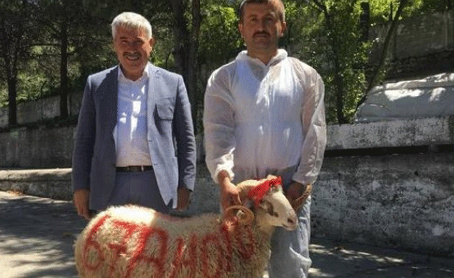 AKP'li başkanın kurban kestirdiği lüks makam aracı icra yoluyla bağlandı