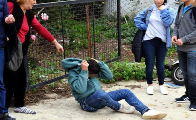 Köpeğe tecavüz ederken yakalandı! Bodrum ayağa kalktı