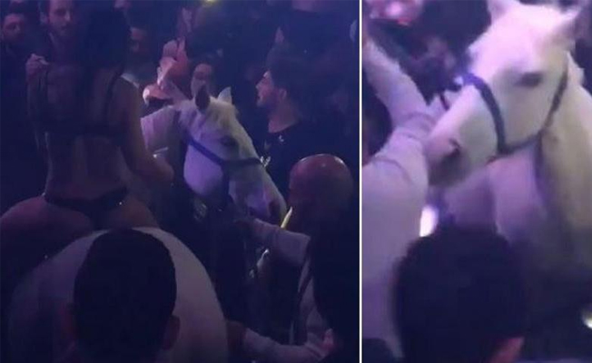 Ata işkence yapan gece kulübüne ceza!