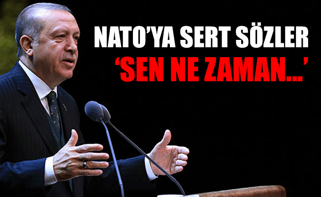 Cumhurbaşkanı İl Kongresinde asker beresi dağıttı