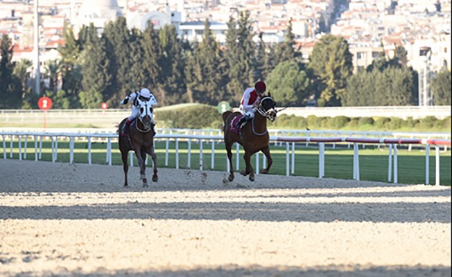 Foçalı Koşusu'nu 'Canözgü' kazandı