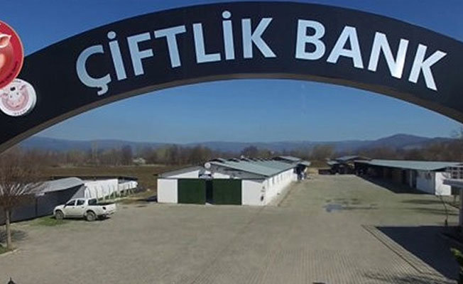 Çiftlik Bank Genel Müdürü'nden bayilere: Başınızın çaresine bakın